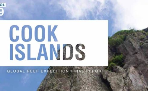 global reef report